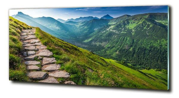 Imagine de sticlă Cale în Munții Tatra