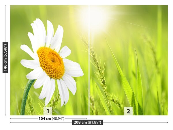 Fototapet Margaretă