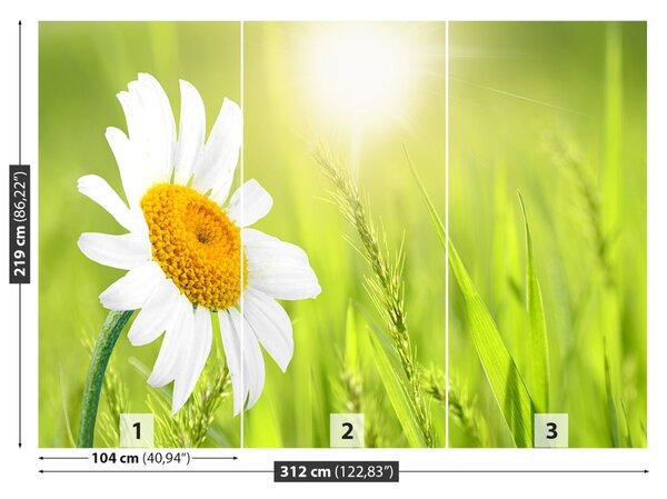 Fototapet Margaretă