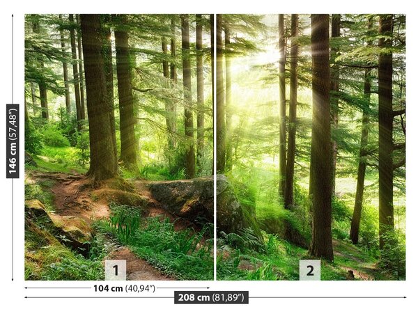 Fototapet Misty Forest