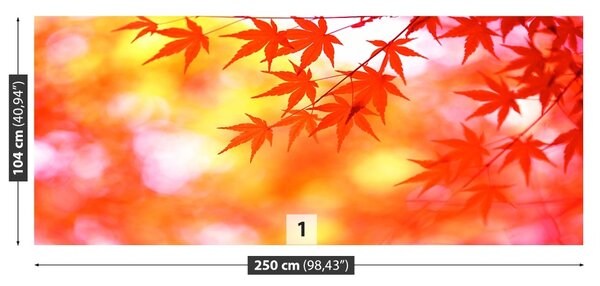 Fototapet Orange Frunze