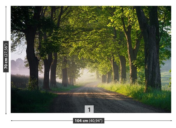 Fototapet Avenue de Copaci