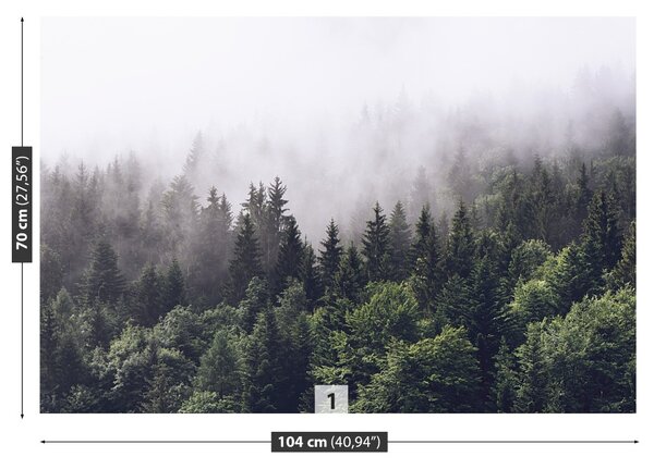 Fototapet Mountain Forest