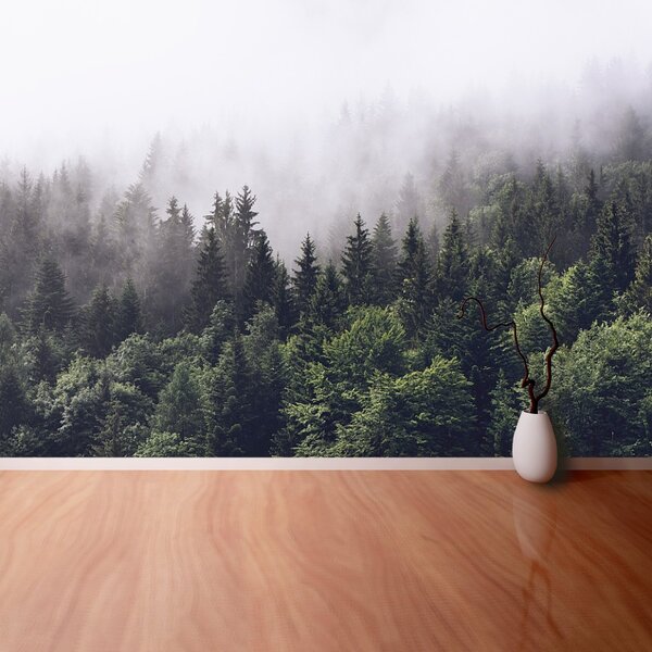 Fototapet Mountain Forest