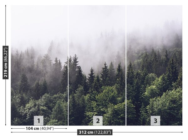 Fototapet Mountain Forest