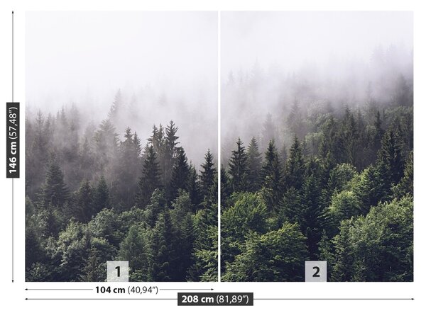 Fototapet Mountain Forest