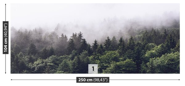 Fototapet Mountain Forest