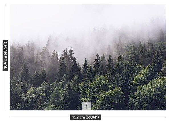 Fototapet Mountain Forest