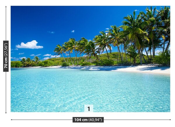 Fototapet Palm Beach Copaci
