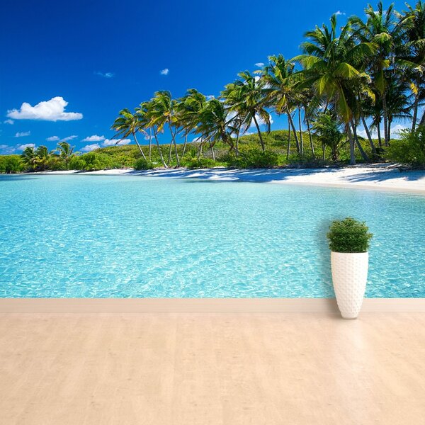 Fototapet Palm Beach Copaci