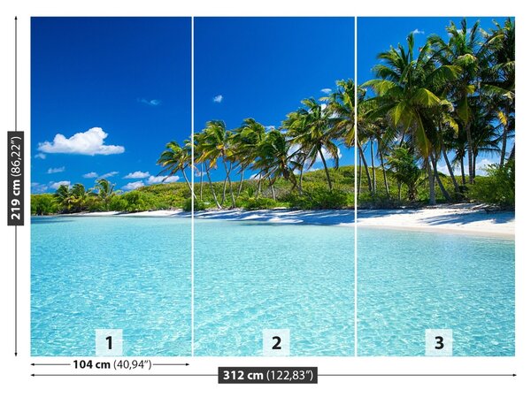 Fototapet Palm Beach Copaci