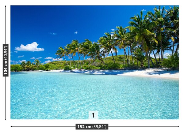 Fototapet Palm Beach Copaci