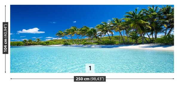 Fototapet Palm Beach Copaci