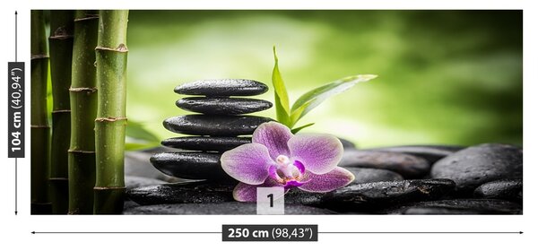 Fototapet Orchid Zen