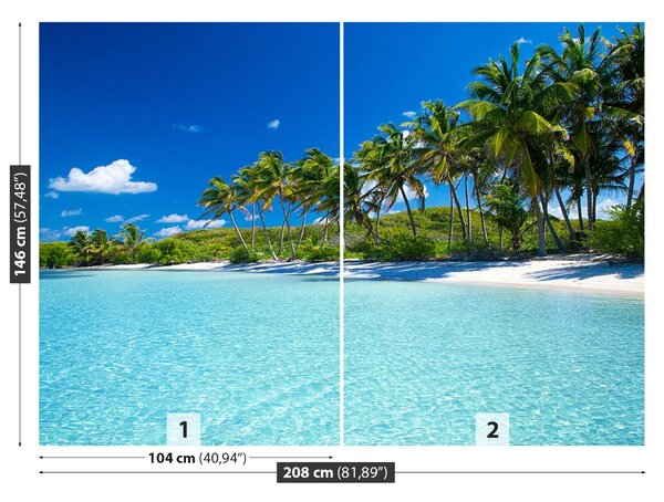 Fototapet Palm Beach Copaci