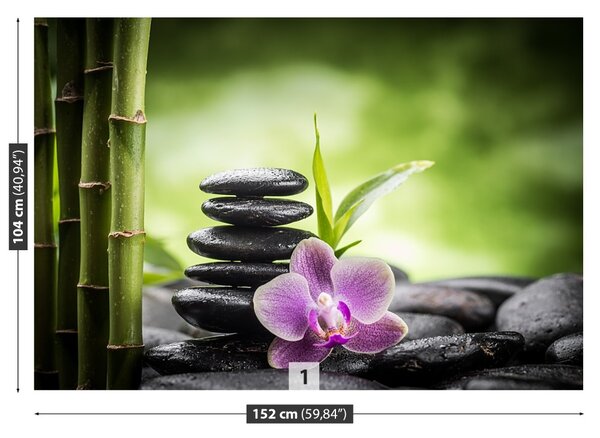 Fototapet Orchid Zen