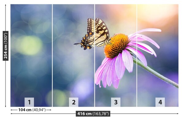 Fototapet echinaceea Butterfly