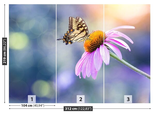 Fototapet echinaceea Butterfly