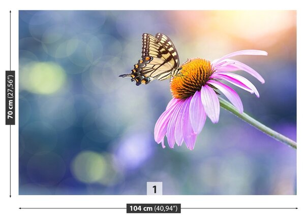 Fototapet echinaceea Butterfly