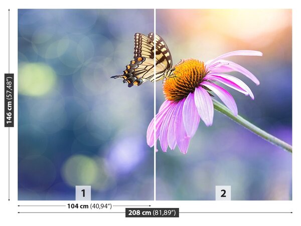 Fototapet echinaceea Butterfly