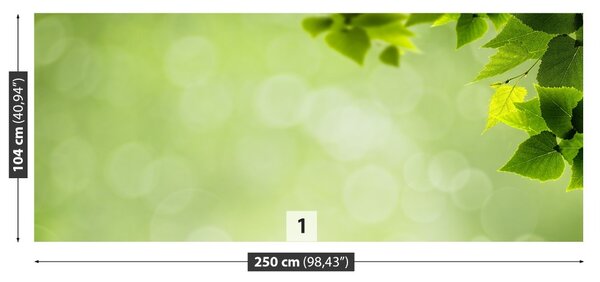 Fototapet Frunze verzi