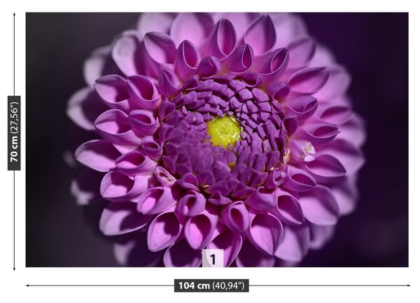 Fototapet Dahlia roz