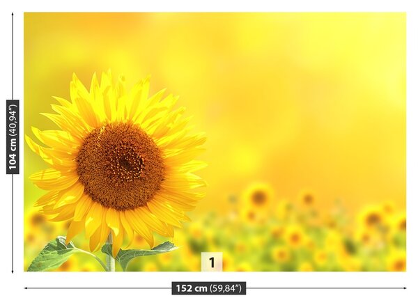 Fototapet Floarea soarelui Galben