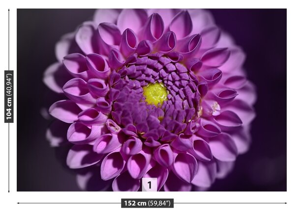Fototapet Dahlia roz