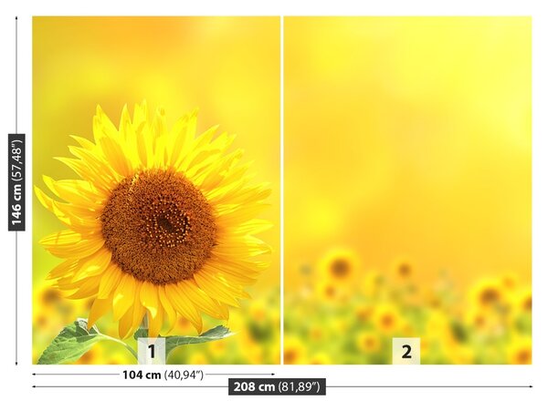 Fototapet Floarea soarelui Galben