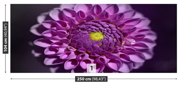 Fototapet Dahlia roz