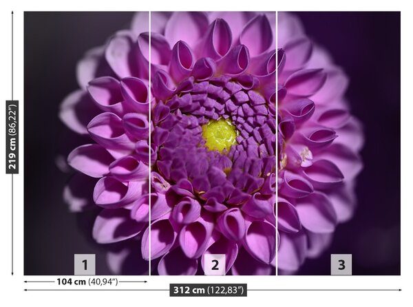 Fototapet Dahlia roz