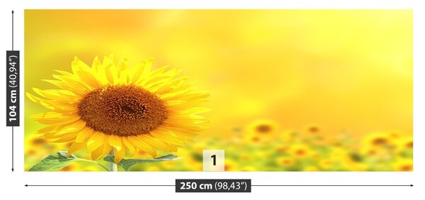 Fototapet Floarea soarelui Galben