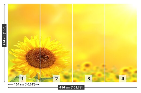 Fototapet Floarea soarelui Galben