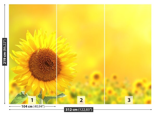 Fototapet Floarea soarelui Galben