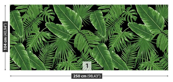 Fototapet Jungle De Noapte