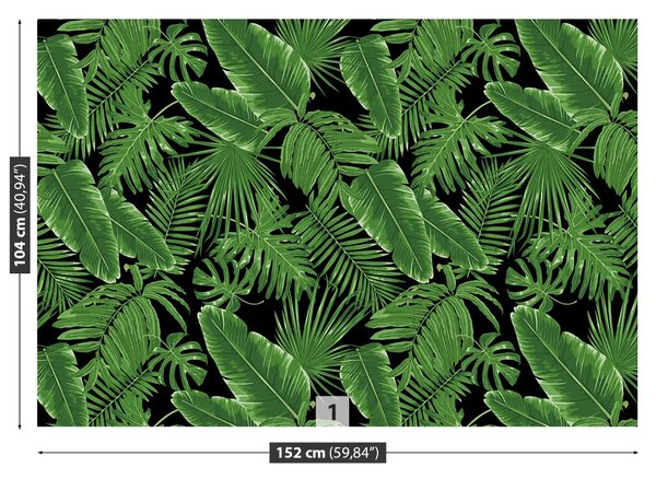 Fototapet Jungle De Noapte