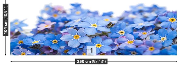 Fototapet nots