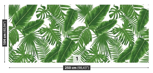 Fototapet Frunze tropicale