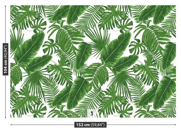 Fototapet Frunze tropicale