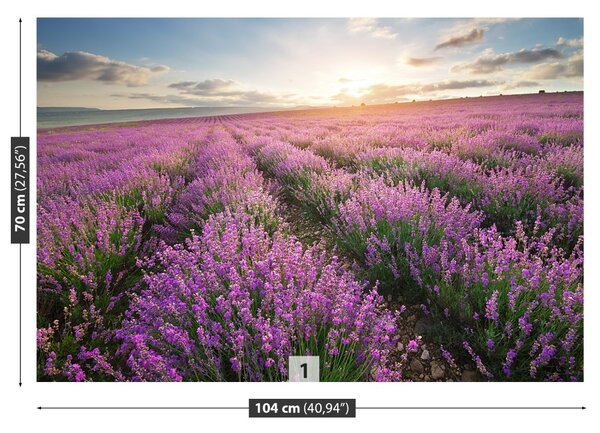 Fototapet Lavandă Meadow