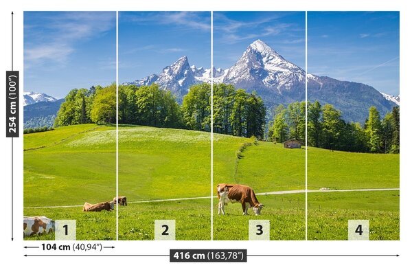 Fototapet Alpi Cow