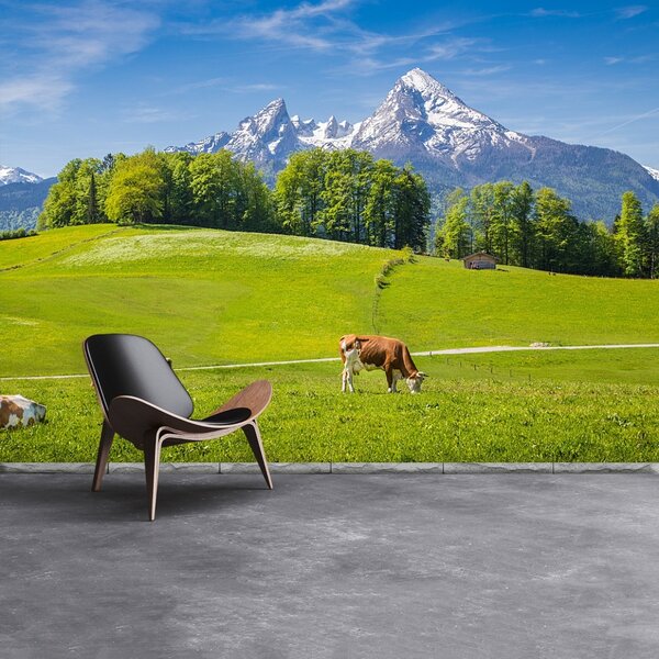 Fototapet Alpi Cow