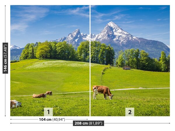 Fototapet Alpi Cow