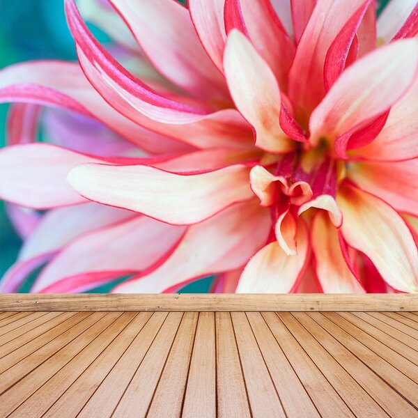 Fototapet exotic Flower
