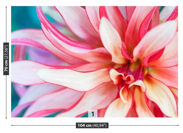 Fototapet exotic Flower
