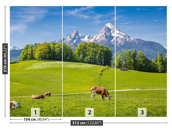 Fototapet Alpi Cow