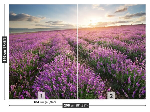 Fototapet Lavandă Meadow