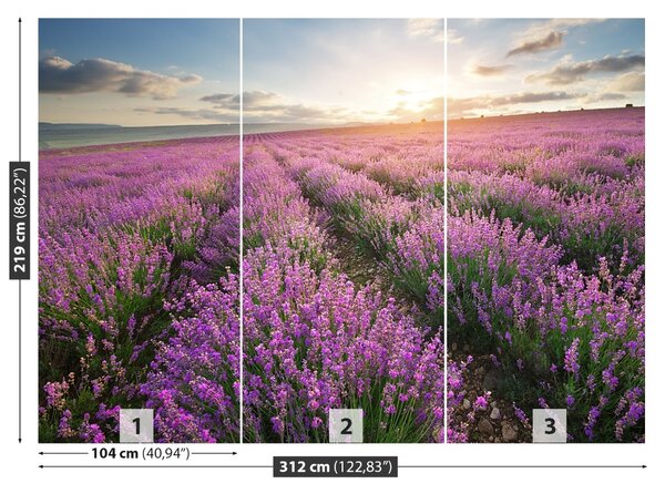 Fototapet Lavandă Meadow