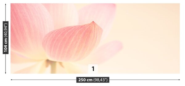 Fototapet roz Lotus