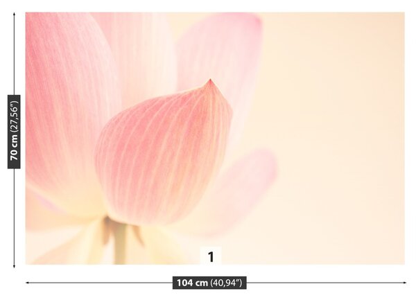 Fototapet roz Lotus
